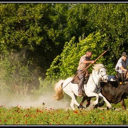 Tradition de Camargue